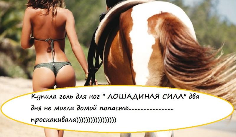 Картинка прикол шампунь лошадиная сила, оригами открытки