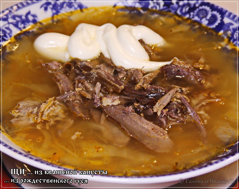 щи из гуся. селянка из квашеной капусты. щи из гуся. щи из гуся. бульон из гуся.