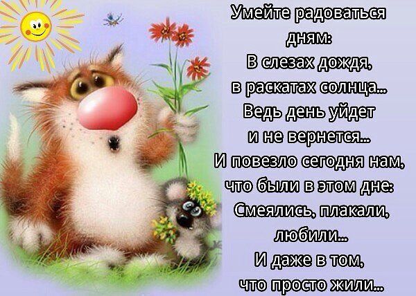 Открытки радуйся каждому новому дню, открытка
