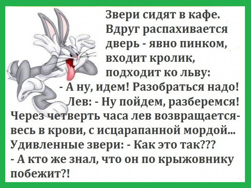 Рамки для, анекдоты в картинках животные смешные