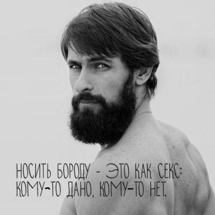 Картинка смешная, смешные картинки про бородатых мужчин