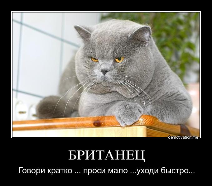Открытки как быть британцем, днем города тольятти