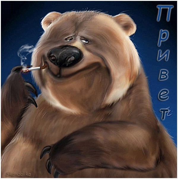 Открытки прикольные медведь