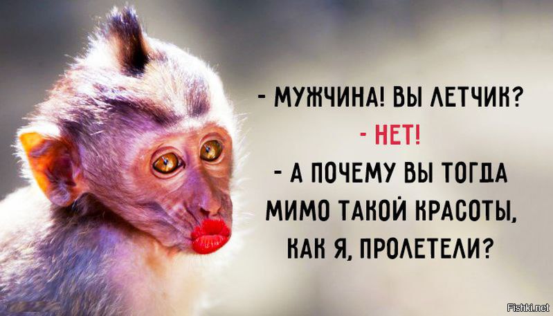 Прикольные обезьяны картинки про работу с надписями про работу