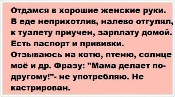 к горшку приучен зарплату домой необходимостью строить систему что к горшку приучен зарплату домой КЛАССИФИКАЦИЯ