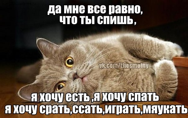 Для рабочего, открытки что не спим