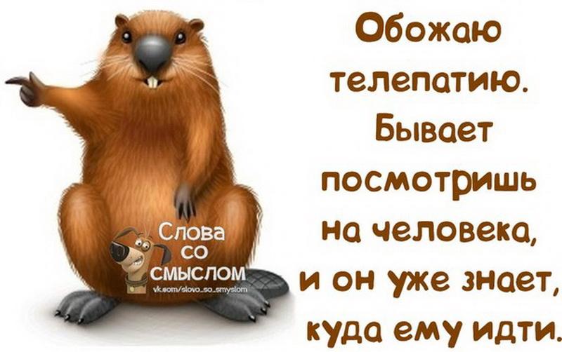 Днем, я открытка телепат