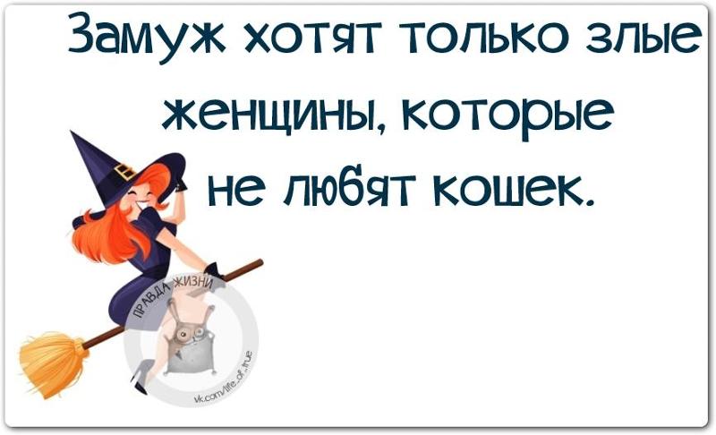 Картинки прикольные не хочу замуж