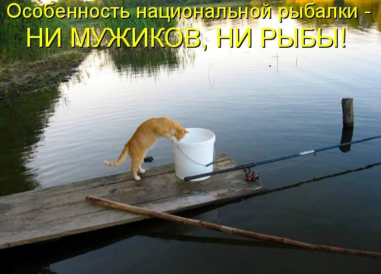 Рыбаки как ребята пошли ловить рыбу Рыбаки как ребята пошли ловить рыбу