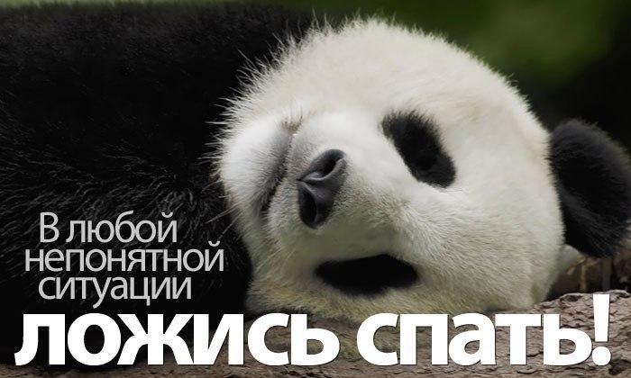 https://otvet.imgsmail.ru/download/179646396_d0b08c98294dad4555901488bb0899e4_800.jpg