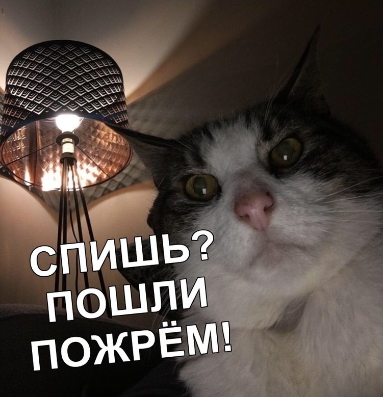Картинка с надписью ты спишь пошли пожрем, поздравление