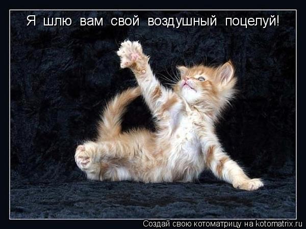 картинка воздушный поцелуй мужчине онлайн картинка воздушный поцелуй мужчине