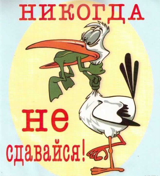 Жемчужной свадьбы, открытка не сдавайся никогда не