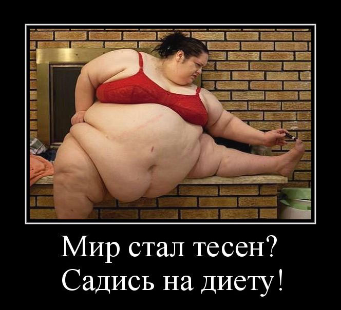 Приколы жирные бабы картинка, картинка