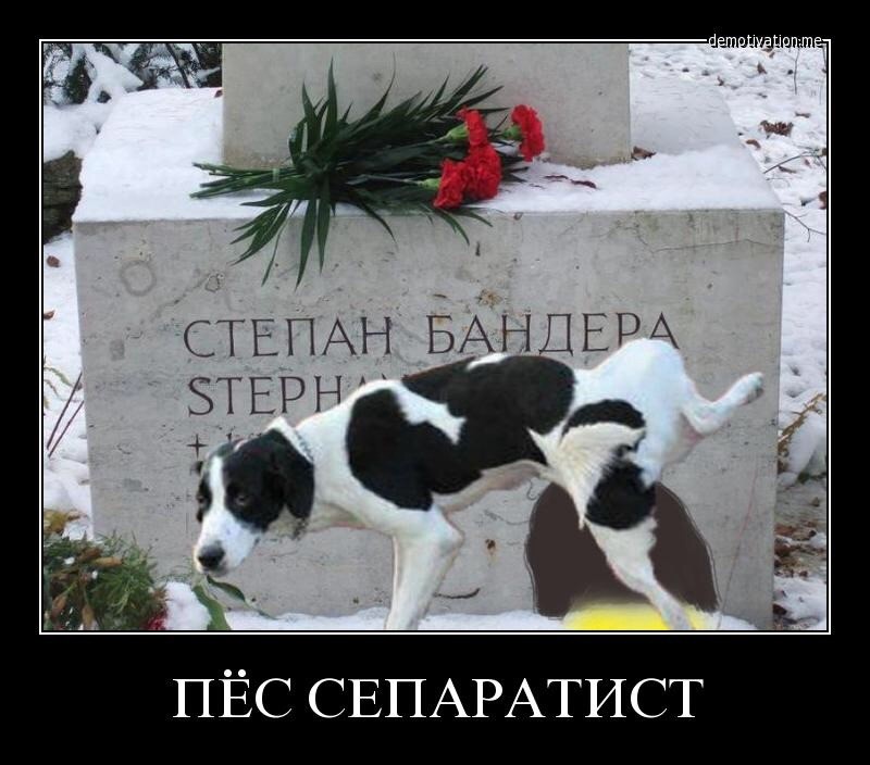 Бандера прикол картинки, виртуальная выставка