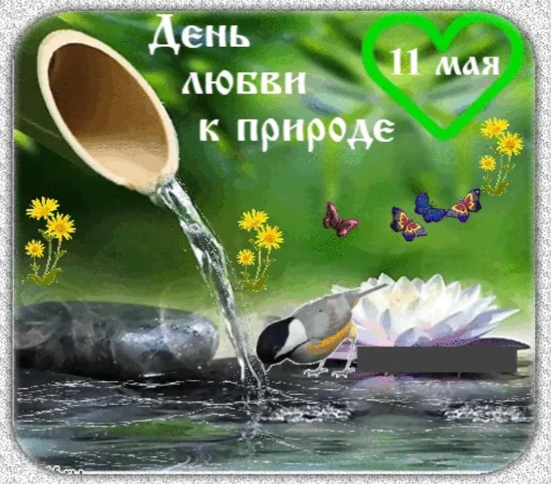 Картинки 3 ПРЕДЛОЖЕНИЕ ПРО ПРИРОДУ