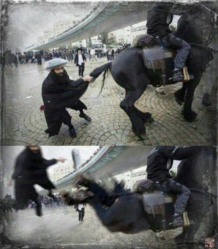 Лошадь ударила головой. Лошадь лягнула. лошадь лягает.