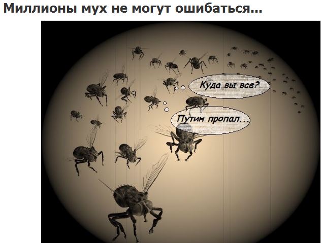 Миллионы мух не могут ошибаться. Миллионы мух не могут ошибаться