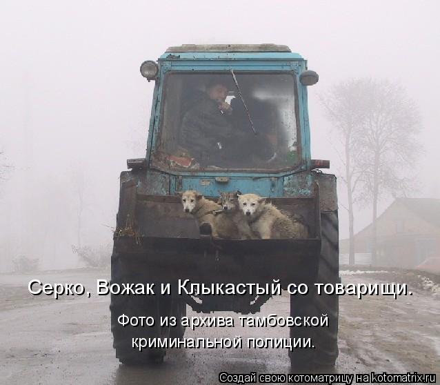 Прокати нас на тракторе. Песня прокати нас петруша на тракторе. Прокати нас петруша на тракторе текст песни. Тащут сено два дт. Прокати меня петруша на тракторе.