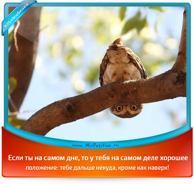 Смешные, надоело все открытки