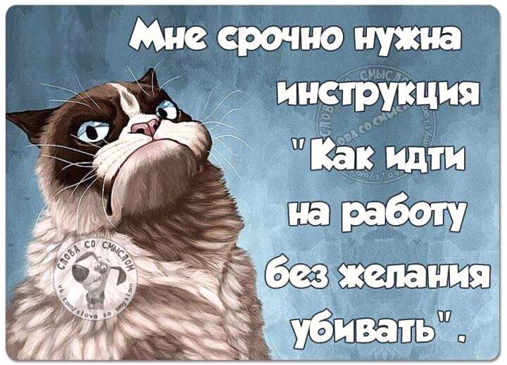 Картинка победитель, идти на работу прикольные картинки