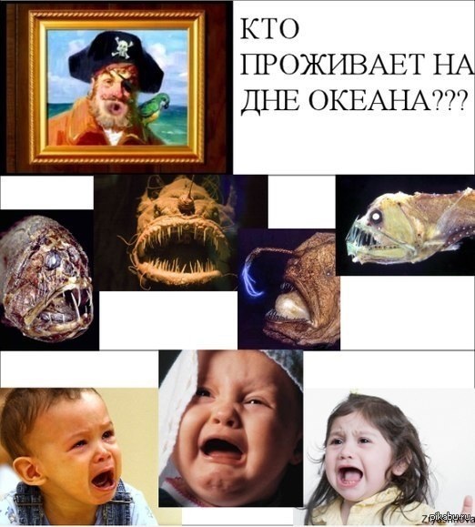 Мем кто проживает на дне океана