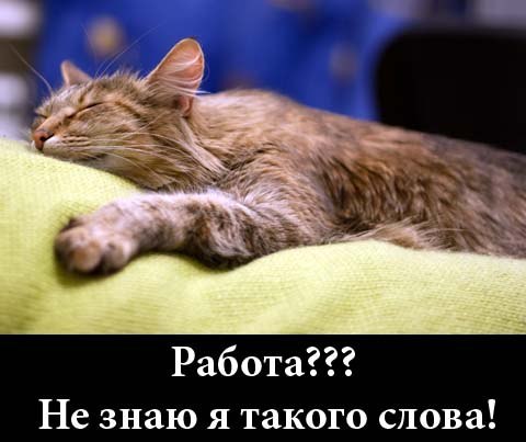 Прикольные картинки неохота на работу