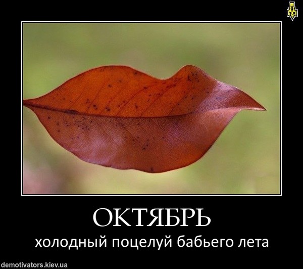 Картинки прикольные октябрь, сердце открытка