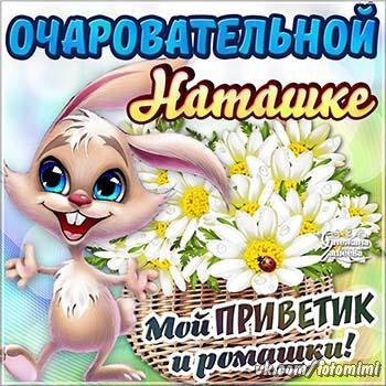 Картинки, натульке картинки гифка