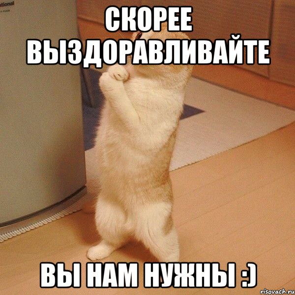Открытки с выздоровлением учительнице, сохранить картинку