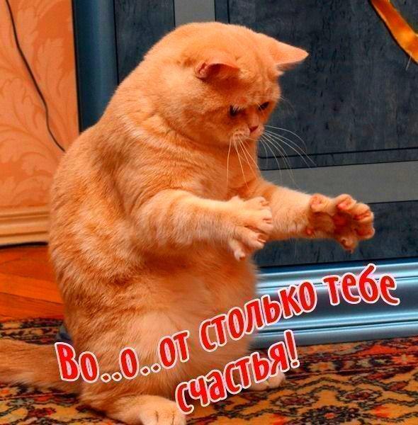Вот сколько всего тебе открытка, подписать открытку
