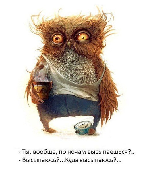 194e8f4422d0ebb7796ee249e044cd8f_i-2366.