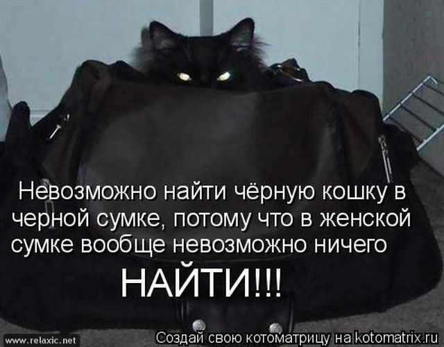они имеют женская сумочка стихи заслуживает