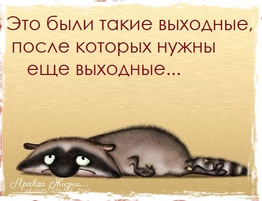Открытки закончились выходные