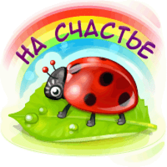 Анимация картинка божья коровки, днем