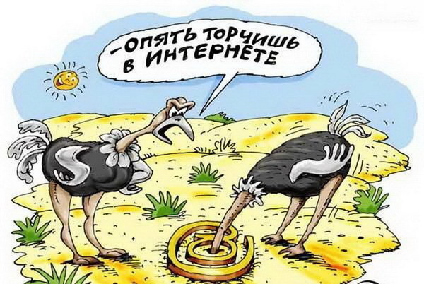 Прикол картинки с интернета