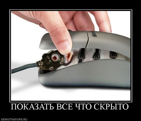 Что спрятано на кадре из фильма Ответы Mail.ru: А у вас есть секрет?