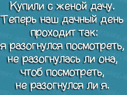 Что нибудь почитать рассказы. Что нибудь почитать. почитай отче наш пока я дочитываю.