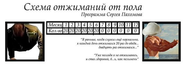 План на день отжимания мем
