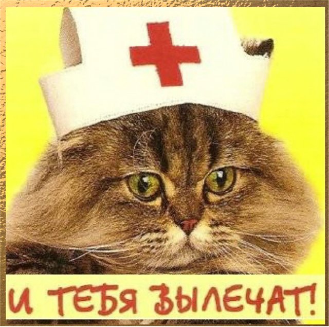 Возвращением работу, я тебя вылечу прикольные картинки