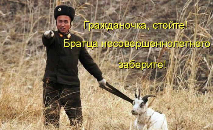 как называют мужчин проституток как называют мужчин проституток