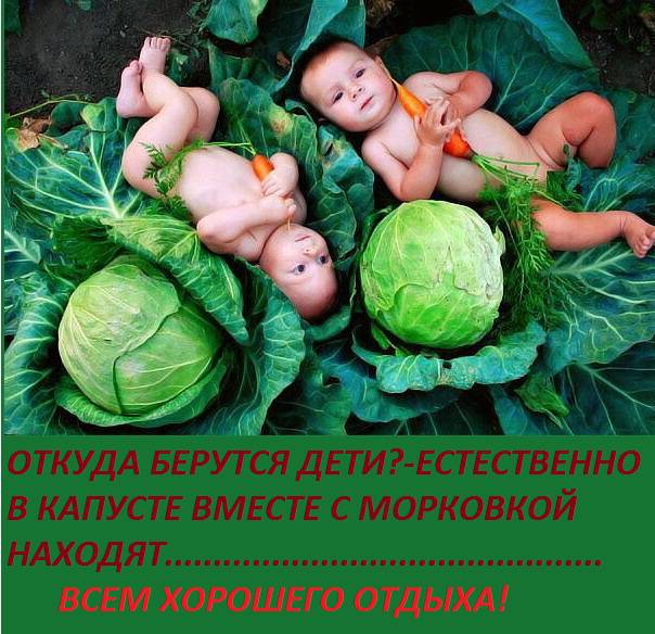 Дети цветы жизни картинки прикол, картинки