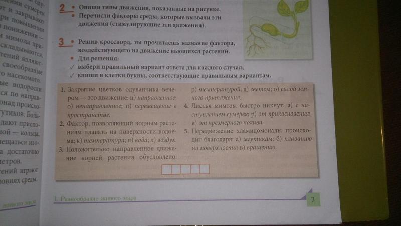 неделимое словосочетание подлежащее. из предложений исчезли подлежащие догадайся. предложение с подлежащим и сказуемым. из предложений исчезли подлежащие. русский язык 4 класс рабочая тетрадь кузнецова 2 часть стр 3.