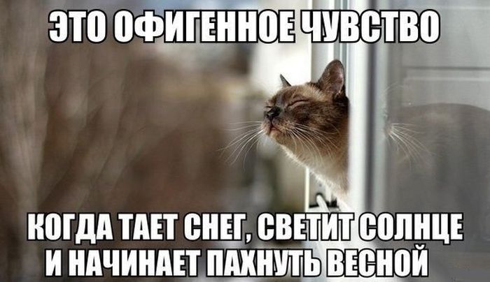 Открытки весной пахнет, осень картинки