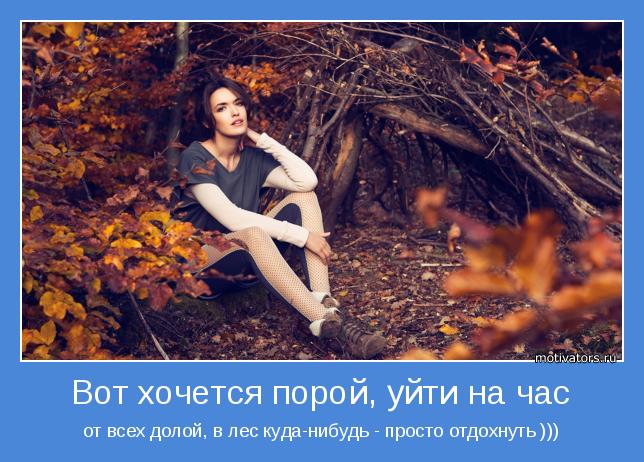 красивые высказывания про лес. хочу в лес. пожарный смотритель леса. иногда хочется тишины и спокойствия. ушел в лес.