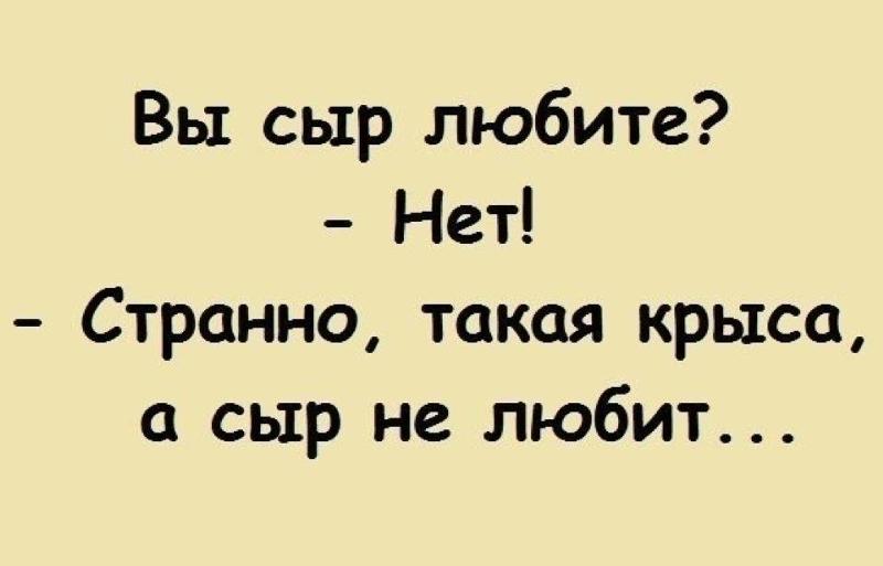 Про крыс людей со смыслом. Цитаты про крыс. цитаты про людей крыс. высказывания про крыс. люди крысы статусы.