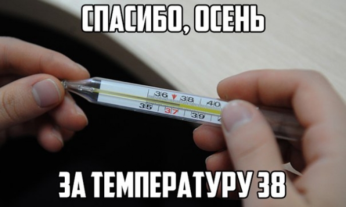 Температура картинки смешные, новогодние открытки красивая