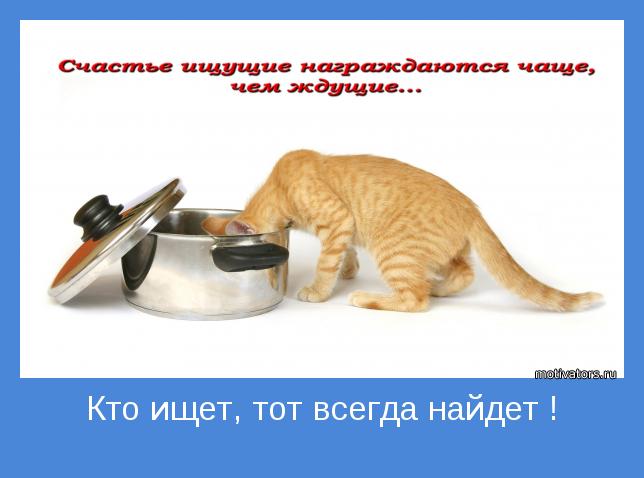 Жизненный путь. Он ищет какую то тему. Кто ищет тот всегда найдет. Клайв льюис цитаты. Остроумные высказывания.