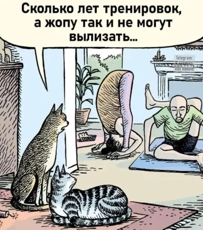 Ответы Mail: Что такое квадроберы