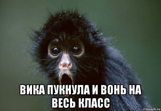 Картинка про вика прикол